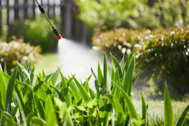 24/7 Emergency Fumigation Services experts in Bonne Terre, MO